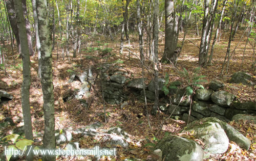 John Gould Annas, John G Annis, Mary Edgely, Sanford Morton Annas, William Wallace Annas, Dorcas Annas, Annas Homestead, Annis Family, Stephens Mills, Bryant Pond Maine, Woodstock Maine