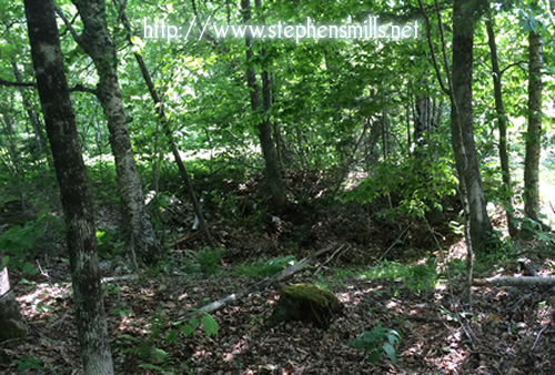 Solon O Ryerson, Mary A Dicker, Mary Elizabeth Ryerson, Ryerson Homestead, Ryerson Family, Patch Mountain Treasure, Stephens Mills, Bryant Pond Maine, Woodstock Maine